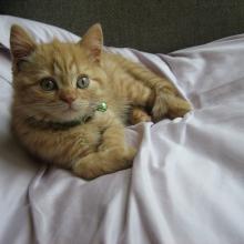 I think it is time for a nap.