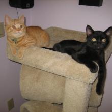 Me and my little brother -- just hangin' out.