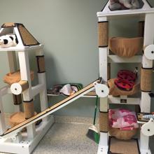 Cat trees/furniture by Crijo Pet Products at the Neely Center in Pasadena, CA