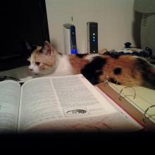 My first day writing in my new home.  i don't know about you, but I always need my dictionary.