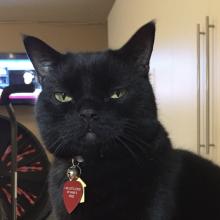 We are dominating, discriminating....& loving.