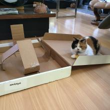 C my nu box and the tape