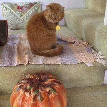 No, I don't want any...whatever that is.