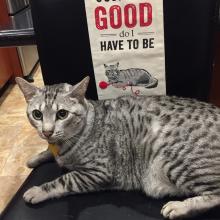 Do I want to be good?