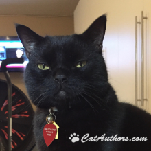 Ok, so tell me, what's the diff between Yin and Yang?