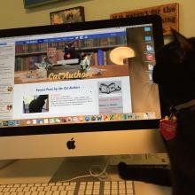 I can see fine but Meowmuh can't yet since her cataract surgery.