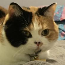 Time to wake up? But I don't wanna' move....