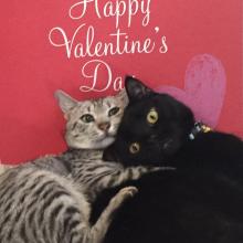 It isn't Merry Valentine's, it's Happy Valentine's?