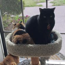 Inkee-Bear has a reason 2 watch inside