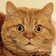 What?  My mom is your mom?