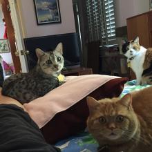 What?  U R 2 hurt 2 feed us?