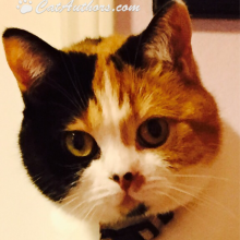 Gracee & I have the same mom!