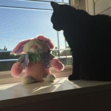 No wabbit I know is pink, wears shades 'n raps.