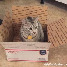 Send me somewhere, anywhere.  I want an adventure!!