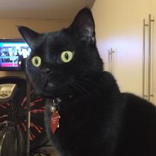 Sophee said what?  That I 'go' crazy?