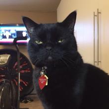 No, no.  No need to apologize.  I don't even care anymore...