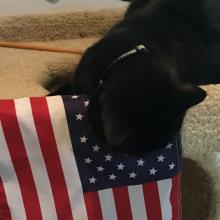 Is this the star spangled thing?