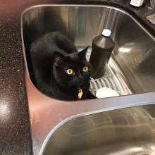 Need to use this?  Am I in troub?