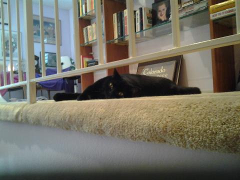 THE JOURNEY TO FIGURE OUT WHY I HAVE DIARRHEA I look healthy but I have diarrhea...all of the time. it is so depressing.