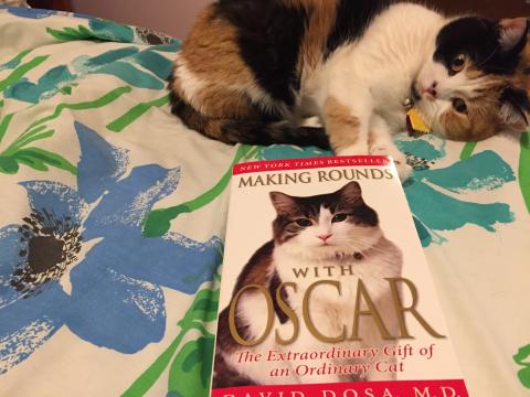 READ: "MAKING ROUNDS WITH OSCAR" Read this book!! "MAKING ROUNDS WITH OSCAR"
