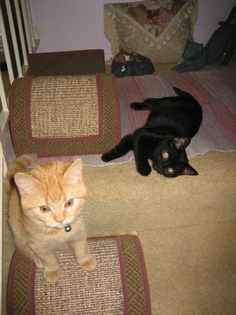 RELAXING BEFORE PLAYING -- BEFORE HE CUT MY EYE!! We were just playing; Inkee-Bear didn't mean to cut my eye.