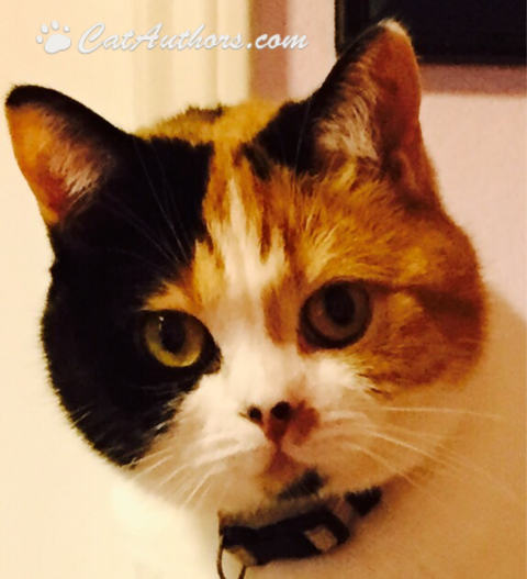 Gracee & I have the same mom!