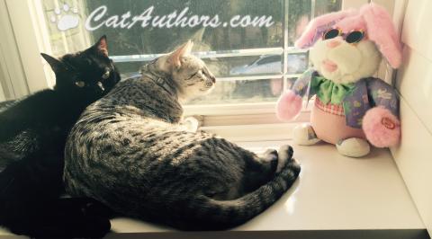 WHAT DID YOU SAY? HIPPITY-HOP-HOP DOWN THE WHAT? A what kind of bunny?