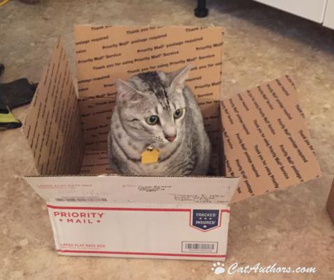 Send me somewhere, anywhere.  I want an adventure!!