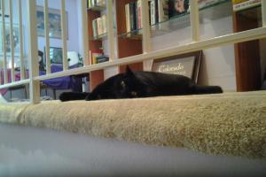 I look healthy but I have diarrhea...all of the time.  it is so depressing.