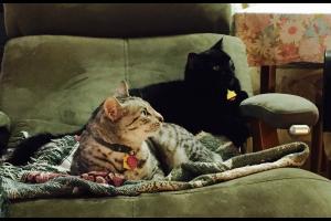 WHAT R THEY LOOKIN' AT? Did you hear it? There's something' up there.