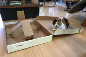 C my nu box and the tape