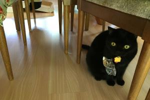 I THINK I SHOULD HIDE I must be in big troub' now...