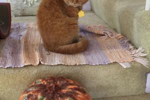 No, I don't want any...whatever that is.