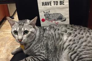 Do I want to be good?