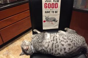 I'M THINKIN' So how good DO I have to be?