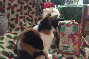 "THE CAT WHO CAME FOR CHRISTMAS" & STAYED Sophee is happy that Polar Bear, the white cat, got his forever home.