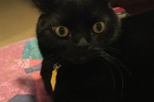 What?  U r going to school?  To learn how to save our lives?