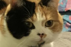 U CAN'T GET UP CAUSE I DON'T WANNA' GET UP Time to wake up? But I don't wanna' move....