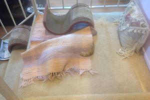 Gracee usually sleeps on TOP of the orange rug but sometimes, she sleeps UNDER it.