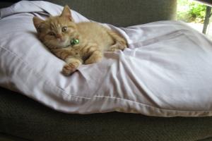 Now this is what I call soft.