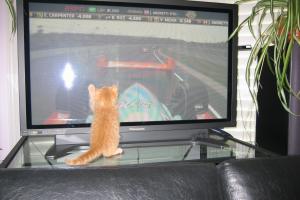 CATCH THAT CAR!!! I can do it. I can catch that car! Just watch me.