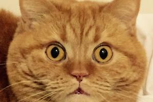 What?  My mom is your mom?