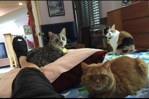 WHAT? U R 2 HURT 2 FEED US? What? U R 2 hurt 2 feed us?