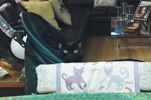 I'm 'sitting'-in' this stroller until it gets fixed!