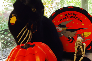 What's on my tail?  Help!!