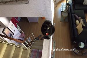 ABOVE IT ALL I can see it all from here.