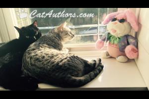 WHAT DID YOU SAY? HIPPITY-HOP-HOP DOWN THE WHAT? A what kind of bunny?