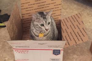 Send me somewhere, anywhere.  I want an adventure!!