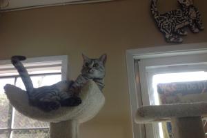 I am tail-thumpin' mad!!!