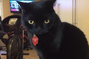 Calling me crazy makes me tail-thumping mad!!